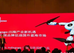 业界人士议跨境电商发展：数字化助力中国品牌出海