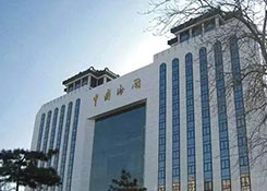 海关总署李国副署长听取中国报关协会工作汇报
