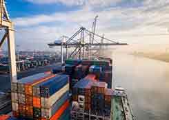 出口企业注意：2019年出口许可证管理货物目录已公布