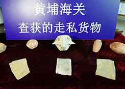 厦门海关在进境集装箱中截获活鼠,广西北海综合保税区