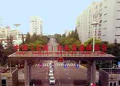 大胆猜想:2019自贸区会有哪些“新面孔”?