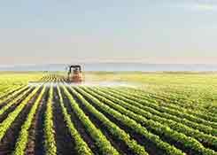 马云、刘强东、丁磊,竟都盯上了养猪生意