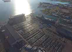 标识不合规范,中国海关“扣押”1600辆特斯拉Model 3