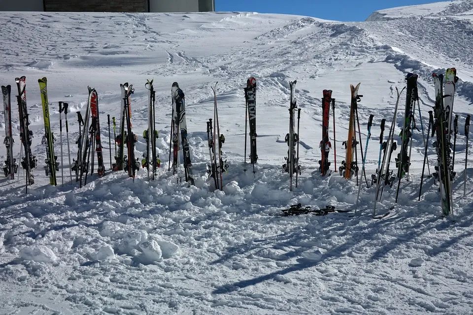 滑雪杖滑雪屐进口清关，滑雪用具进口进保税仓流程，2022新版跨境电子商务零售进口商品清单