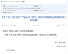 中国(同江)跨境电子商务综合试验区实施方案印发