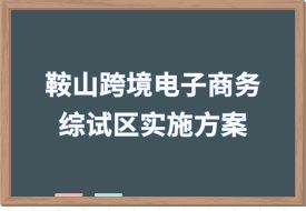 打造跨境电子商务直播之城,中国(鞍山)跨境电子商务综合试验区实施方案印发
