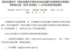 货代、货主同责,进出口报关严查升级!报关行“只录单不审单”时代结束