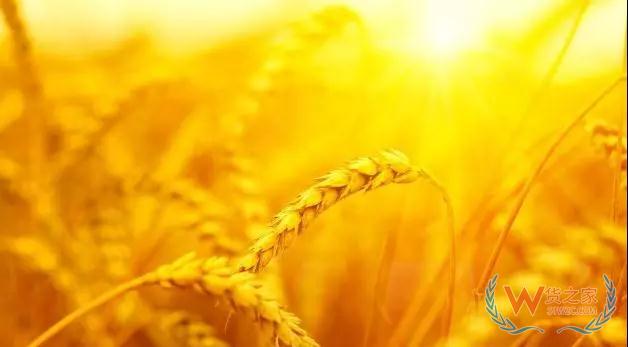 马云、刘强东、丁磊,竟都盯上了养猪生意—货之家 马云、刘强东、丁磊,竟都盯上了养猪生意—货之家