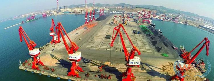 1552356986493651.jpg 2.jpg