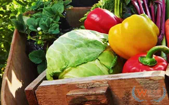 布局生鲜赛道，腾讯阿里如何做好物流降本增效—货之家