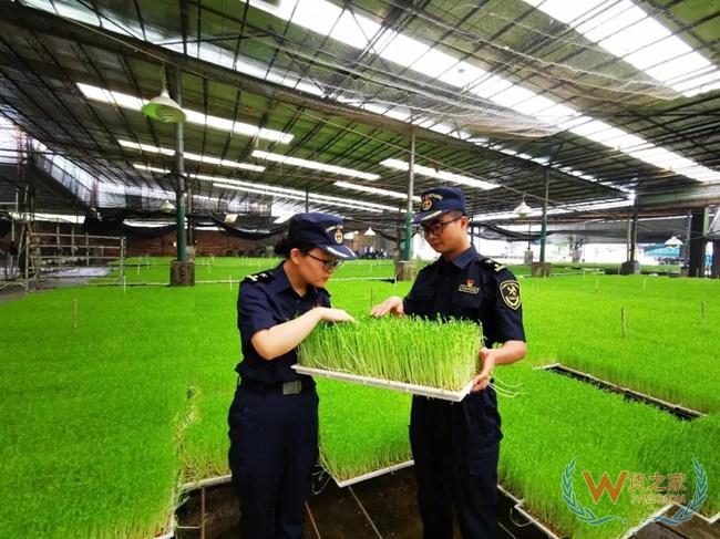 夜读海关 | 海关强监管优服务促营商环境再上新台阶;东莞海关查获一批侵权货物—货之家 夜读海关 | 海关强监管优服务促营商环境再上新台阶;东莞海关查获一批侵权货物—货之家