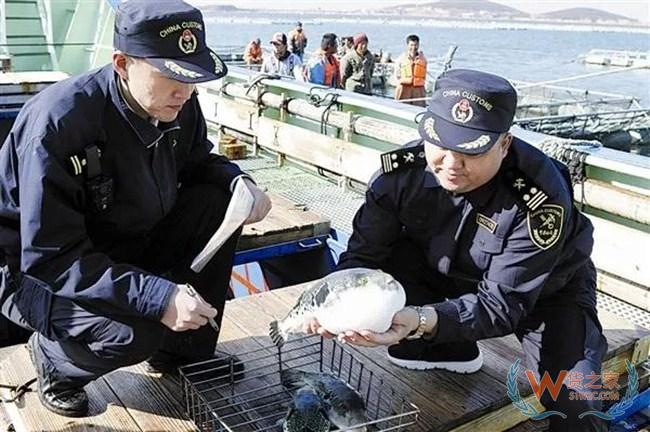 夜读海关 | 内蒙古海关查获7起走私濒危物种制品案件；上海海关查扣侵权货物6.7万件—货之家