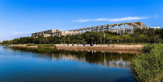 天津保税区临港口岸实现港贸一体化发展-货之家