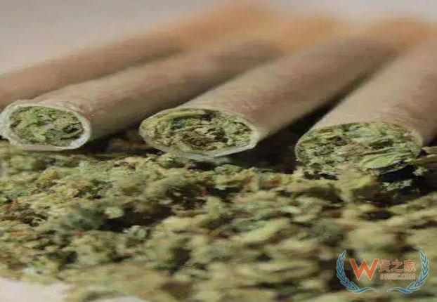 【通关监管】对含大麻食品化妆品说“不”！——货之家