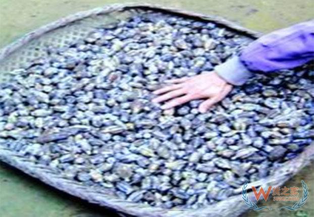 【通关监管】对含大麻食品化妆品说“不”！——货之家