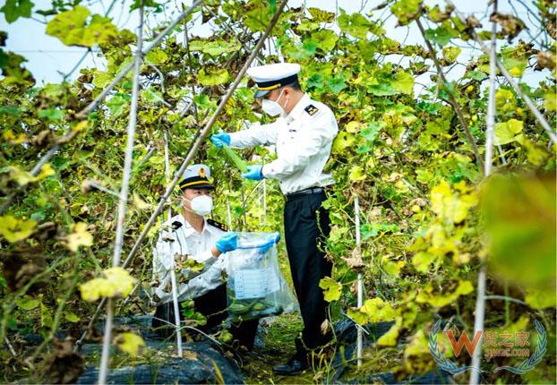 外贸保稳提质“关键词”——货之家