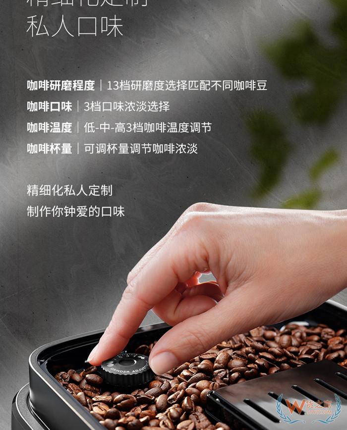 德龙/Delonghi 咖啡机 ECAM22.110SB