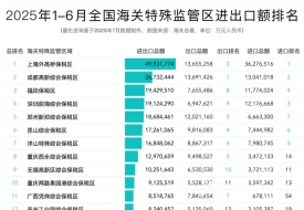 2025年上半年全国海关特殊监管区(综保区等)进出口贸易额排名榜单