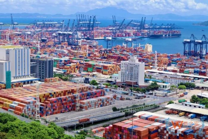 直播带货+保税仓,跨境进口电商的下一个爆单密码解锁 直播带货+保税仓,跨境进口电商的下一个爆单密码解锁