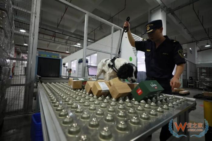 海淘代购：行政违法与走私犯罪的边界及合规解决方案